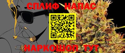 a pvp Заводоуковск